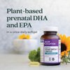 New Chapter Vegan Prenatal DHA, EPA, and DPA Supplement- Prenatal Vegan Omega-3 Complex- 30 Vegan Softgels