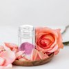 FOMIYES 12 Pcs Loose Powder Bottle Powder for Women Concealer Powder Sifter Jar Loose Powder Container Powder Bottles Empty Powder Dispenser Mini Containers Travel Plastic Makeup Cosmetic