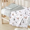 HOMRITAR Baby Blanket for Boys Girls Soft Plush Minky Blanket with Double Layer Dotted Backing for Toddler with Forest Foxes Multicolor Printed 30 x 40 Inch(75x100cm)