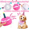 DoreenBow 5 Pack Dog Birthday Toys for Small Dogs Birthday Cake Squeaky Dog Toy Chew Toys Puppy Teething Toys Plush Birthday Box Gift for Dogs