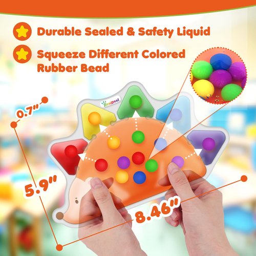 Color Sorting Toys Sensory Toys : Fine Motor Skill Games Learning Toys for Toddlers, Color Matching Preschool Activities Educational Calm Down Toys Montessori Toys for Kids Boys Girls Gifts Ages 3+