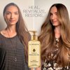 L'ANZA Keratin Healing Oil Hair Treatment, Hair Oil Revives & Nourishes Dry Damaged Hair & Scalp, Sulfate Free with Phyto IV Complex, Cruelty Free Volumizing Hair Care with UV Protection (6.2 Fl Oz)
