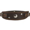 Dogs My Love Genuine Leather Two Buckles Dog Collar 9.5"-12.5" Neck for Small Breeds and Puppies Brown