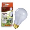 Day White Light Incandescent Bulb