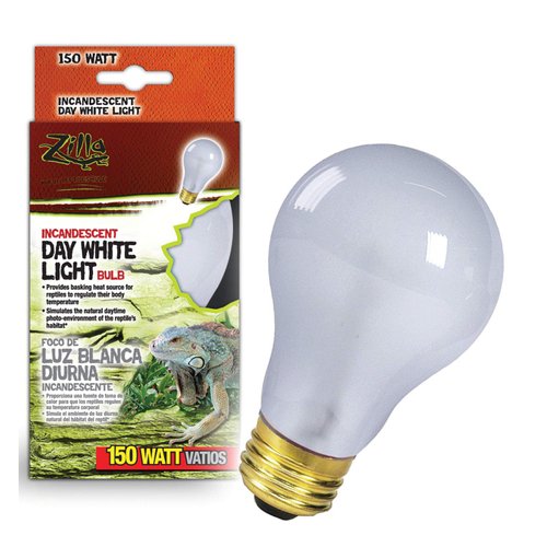 Day White Light Incandescent Bulb