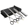 Barber Hair Scissors Cutting & Thinning Scissors Kit Straight Edge Razor Comb with Black Storage Case With Free Blades (Dull 6.5 Inch)