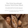 Breadtopia Sourdough Starter | Made from Organic & Non-GMO Ingredients | Easy to Follow Instructions | Make Homemade Sourdough Bread | Sour Dough Starter