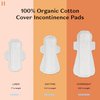 The Honey Pot Company – Incontinence Pads for Women - Non-Herbal Overnight - Bladder Leak Control - Organic Cotton Cover & Ultra-Absorbent Pulp Core - Incontinence Pads - FSA & HSA Eligible – 16 ct.