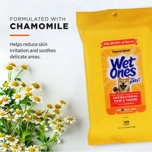 Wet Ones for Pets Paw & Tushie Dog Wipes with Chamomile | Dog Wipes for All Dogs in Tropical Splash Scent, Wipes with Wet Lock Seal | 30 Ct Pouch Dog Paw Wipes
