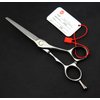 6.0 inch Sliver Salon Hair Cutting Scissors Barber Shears with Bag- Perfect for Professional Hairdresser (6.0 inch)