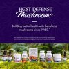 Host Defense MycoBotanicals Brain & Body* Powder - Digestive & Immune Support Supplement with Lion's Mane & Reishi Mushroom - Brain Supplement to Support Memory & Focus - 3.5 oz (33 Servings)*