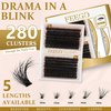 FEEGO Fluffy Eyelash Extensions Kit With Cluster Lashes, Applicator for Beginners, Individual Lashes, Lash Bond, Seal Glue, Remover (6080D Charming Kit)