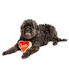 Midlee Red Heart Love Sugar Cookie Valentine's Dog Toy (Small)
