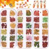 Kalolary 3 Boxes Fall Leaves Nail Art Sequins, 3D Maple Sycamore Ginkgo Leaf Nail Stickers Wood Pulp Glitter Flakes for Autumn Nail Art Decorations