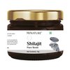 minature Pure Shilajit Resin | Naturally sourced Shilajit | Contains Spoon | Over 80 Minerals, Amino Acids | Natural Source of Fulvic Acid (0.51 fl Oz/15g)