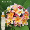 Hawaiian Healing Skin Care - Plumeria Face Wash