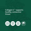 Standard Process C Synergy - Whole Food Immune Support and Antioxidant with Echinacea Purpurea, Rose HIPS, Shiitake, Reishi Mushroom Powder, Buckwheat, and Wheat Germ - 90 Tablets
