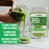XPRS Nutra Organic Barley Grass Powder - 8 Ounce Premium Barley Powder Rich in Antioxidants, Amino Acids and Protein - Barley Green Superfood for Immunity