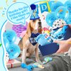 RoundFunny 23 Pcs Dog Birthday Party Supplies Dog Birthday Toy Set Dog Birthday Cake Teething Toys Squeak Toy Interactive Dog Toys Dog Birthday Decorations with Box for Puppy Small Medium Dogs(Blue)