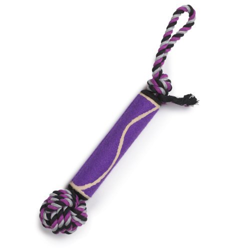 Grriggles Knot Just Rope Dog Toy, 15-1/2-Inch, Ultra Violet