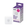 WiZ Indoor Motion Sensor - Connects to Your Wi-Fi- Works with WiZ Connected Products - Smart Motion Sensor - Batteries Included - White - 1 Pack