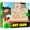 Ant Farm Kit for Kids - Ants Farms Colony - Includes Ant Voucher - Sand Habitat Kits - Bug Terrarium House - Educational Science Gifts for Kids - Nature Learning Toys for Boys, Girls & Adults