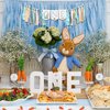 MUWEOL Peter Rabbit High Chair Banner - First Birthday Party Highchair Banner,Easter Peter Rabbit Party Supplies For Girls And Boys,Baby Shower Decorations (rabbit banner)