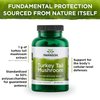 Swanson Turkey Tail Mushroom - Herbal Supplement - Natural Formula - (120 Capsules, 500 mg) (4 Pack)