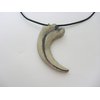 Mid-Land Scientific Sauronitholestes Dinosaur Claw Pendant Necklace (344-5)