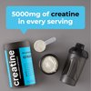 TRUMETA Creatine Monohydrate Powder Maximize Your Workouts, Recovery, & Muscle Growth with Vegan Creatine - Pure Creatine Supplement for Steady, All-Day Energy and Focus - 90 Servings