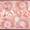Rose Gold & Pink Sweet 16 Birthday Bundle: Party Supplies Set with paper Plates, Napkins and Cups - Sweet Sixteen Decorations, Party Favors ，Serves 16