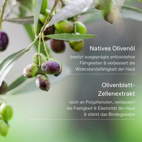 KORRES Olive Hand Cream, Olive Blossom, 2.54 Fl Oz