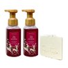 Bath & Body Works 'Tis The Season 2 Pack Gentle Foaming Hand Soap Bundle with a Natural Oats Sample Soap