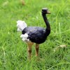 BLAPNK 2 Pcs Realistic Ostrich Figurines Cake Topper, Plastic Wildlife Animal Toy Figures Collection Playset Educational Learning Props(Ostrich)