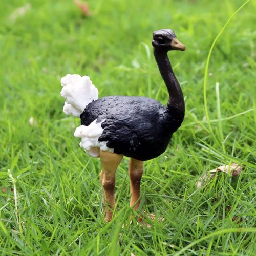 BLAPNK 2 Pcs Realistic Ostrich Figurines Cake Topper, Plastic Wildlife Animal Toy Figures Collection Playset Educational Learning Props(Ostrich)