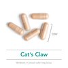 Nutricology Cat's Claw - Inner Bark Extract, Joint Health & Immune Support, Herbal Supplement, Organic, Vegetarian Capsules - 60 Count