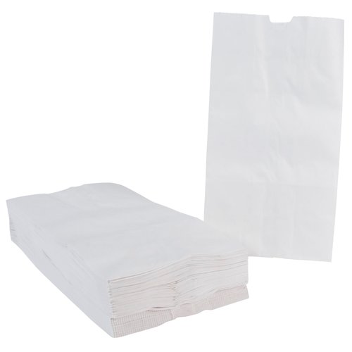 Pavilia Flat Bottom Paper Bags - 6 x 11 - Pack of 100 - White