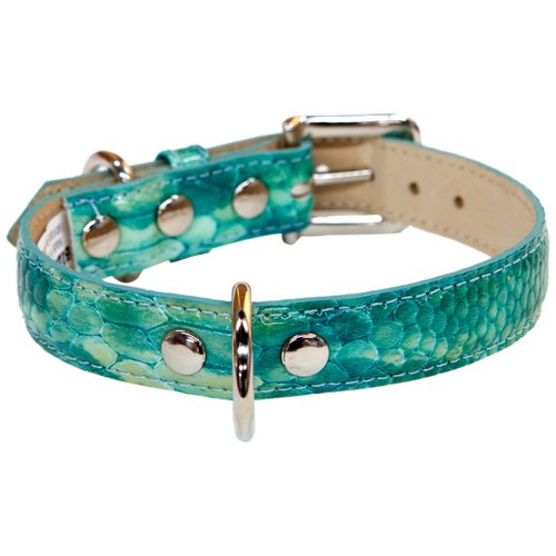 Bluemax Genuine Leather Patent Snake Dog Collar, 3/4-Inch by 16-Inch, Teal