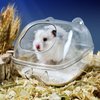 lazYYzal Hamster Bathtub,Hamster Bathroom,Small Animal Habitat Décor,Sand Bath Container Transparent Beds,Hamster Bed,Ice Bathtub,Sleep Pad Nest,Sand Bath Box for Cage Accessories（M）