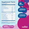 Wellah Splish Splash Hydration Electrolyte Drink Mix (Blueberry Pomegranate Flavored, 30 Servings)