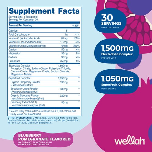 Wellah Splish Splash Hydration Electrolyte Drink Mix (Blueberry Pomegranate Flavored, 30 Servings)