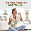 Go Nutra Milk Thistle Powder 1 lb. | Milk Thistle Extract 5:1 Strength Silymarin | Silybum Marianum Herbal Supplement Non-Gmo