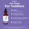 MaryRuth Organics Iron Supplement for Toddlers | Liquid Iron Supplement for Children Ages 1-3 | Iron Supplement for Iron Deficiency | Sugar Free | Vegan | Non-GMO | Gluten Free | 2 Fl Oz