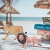 Atralo Service Wildlife Animal Figures Model Playsets 3 PCS Lion Family Figure Model Toy Desktop Decoration Collection Party Favors Toys for Boys Girls Kids