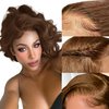 Bob Wig Human Hair Chocolate Brown Lace Front Wig Human Hair for Women 13x4 HD Body Wave Lace Front Wigs Human Hair Color 4 Glueless Wigs Human Hair Pre Plucked with Baby Hair 180% Density 8 Inch