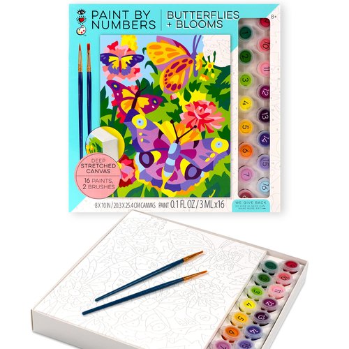 Bright Stripes Paint by Numbers Kit for Kids: Easy to Follow Paint by Numbers Canvas with Frame Kids Paint Kit (Paint by Numbers Butterflies + Blooms)