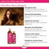 Difeel Rice Water Shampoo 12 oz. - Strengthening Sulfate Free Shampoo for All Hair Types