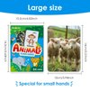 Bear Tale 54PCS Animals Flash Cards for Toddlers 1 2 3 4 5 6 Years Old, Double Sided Cartoon Cards About Land Marine Sky Animals, Educational Learning Toy Gift for Preschool Toddler Flashcards