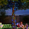 JMEXSUSS 2 Pack Solar Christmas Lights Outdoor Waterproof, Total 66FT 200 LED Multicolor Solar Fairy Lights, 8 Modes Solar String Lights for Outside