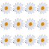 Framendino, 12 Pack Daisy Hair Clips Daisy Flower Clips Flower Hair Barrettes Hair Pins for Wedding Hair Accessories